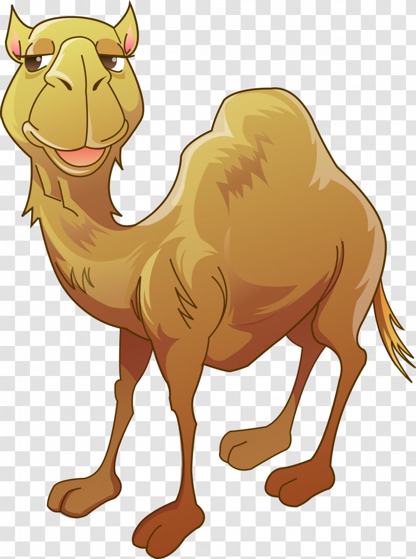 Bactrian Camel Humour Clip Art - Thumbnail - Vector Transparent PNG