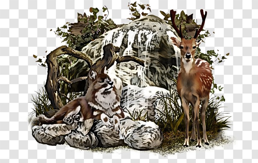 Deer Wildlife Roe Plant Transparent PNG
