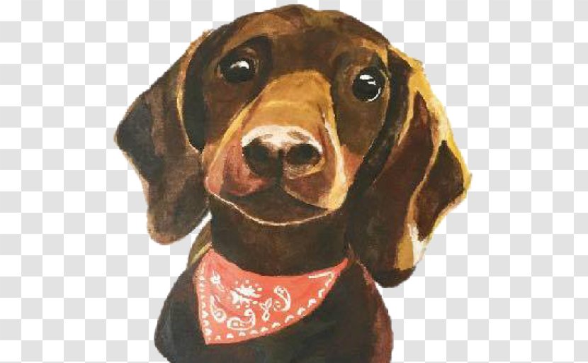 Treeing Walker Coonhound Redbone Dachshund Dog Breed Black And Tan - Watercolor Dogs Transparent PNG