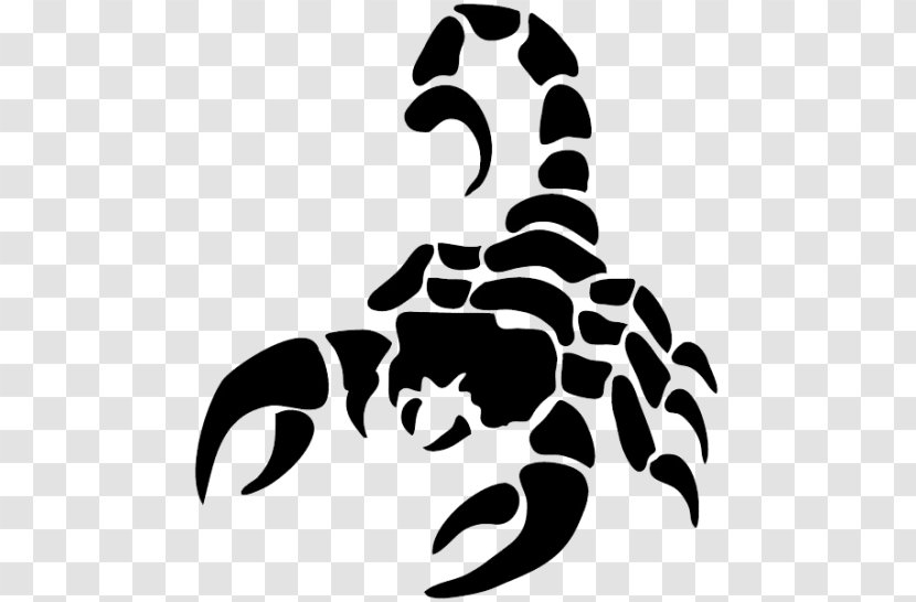 The Scorpion Clip Art Image - Invertebrate Transparent PNG