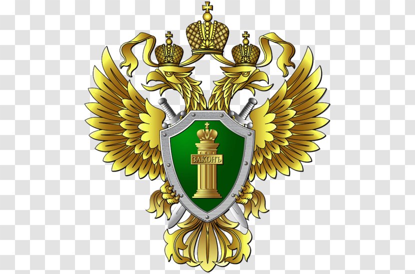 Academy Of The Prosecutor General’s Office Russian Federation Public Prosecution Service General Russia - Symbol Transparent PNG
