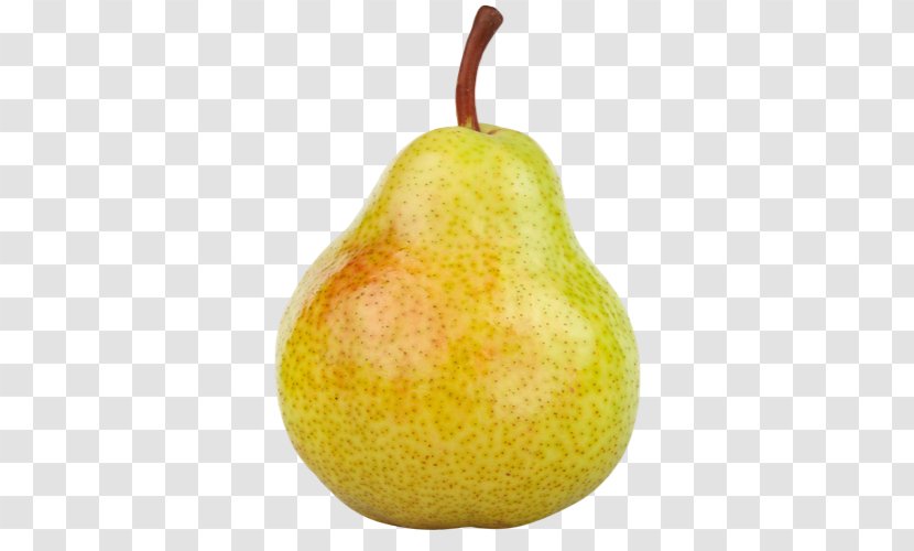 Drawing Pear Food Line - Painting Transparent PNG