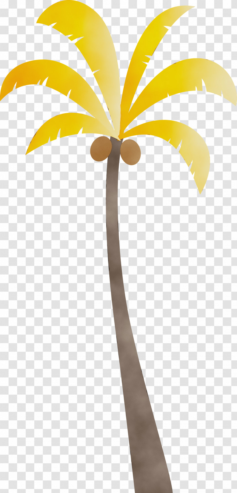 Palm Trees Transparent PNG