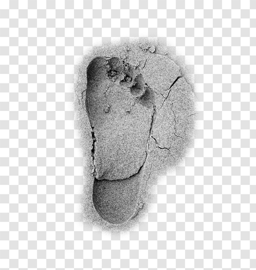 Beach Download - Cracked Footprints Transparent PNG