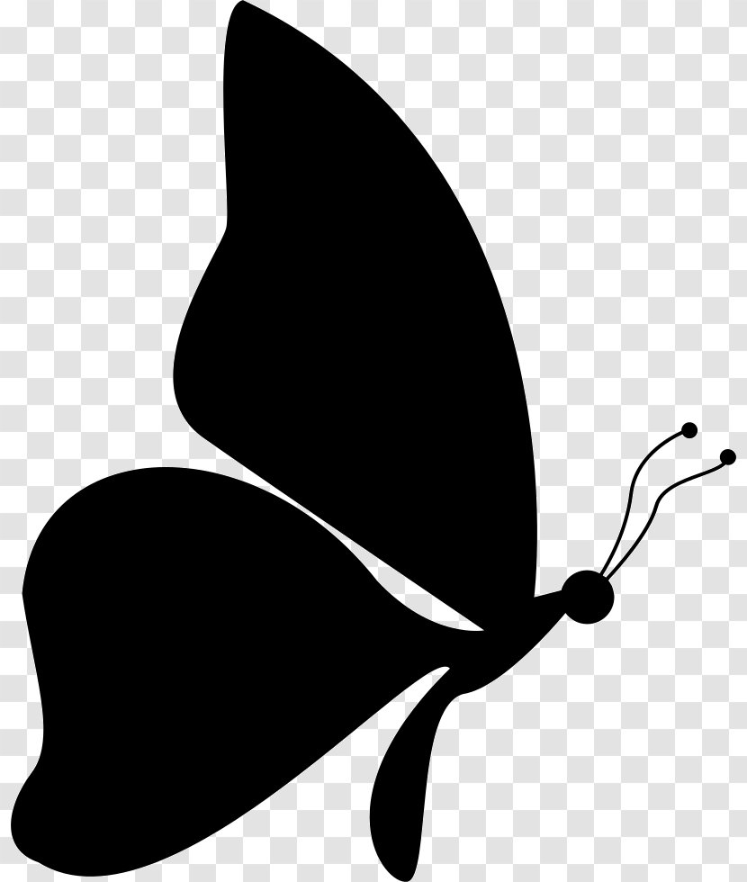 Butterfly Clip Art Vector Graphics Silhouette Royalty-free - Plant Transparent PNG