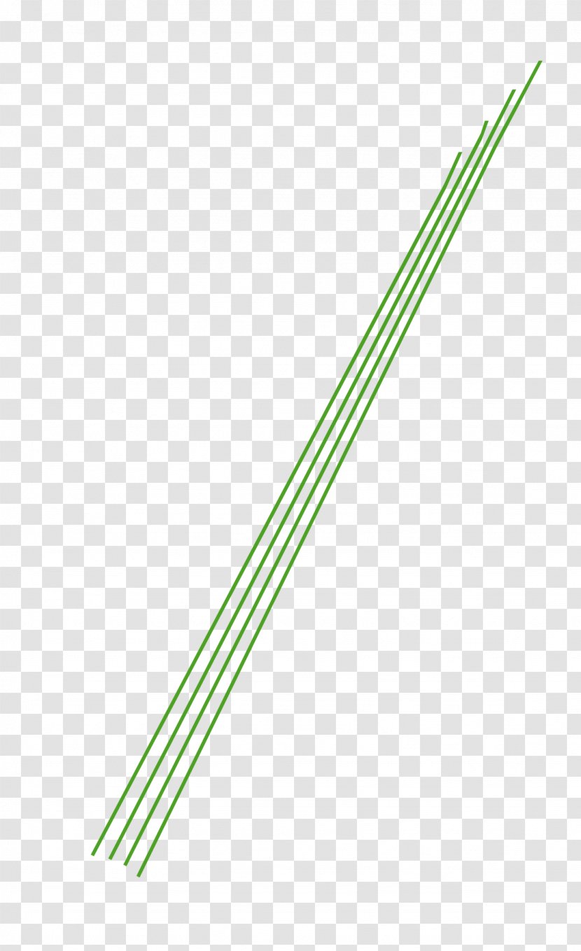 Line Angle - Grass - Electric Parts Transparent PNG