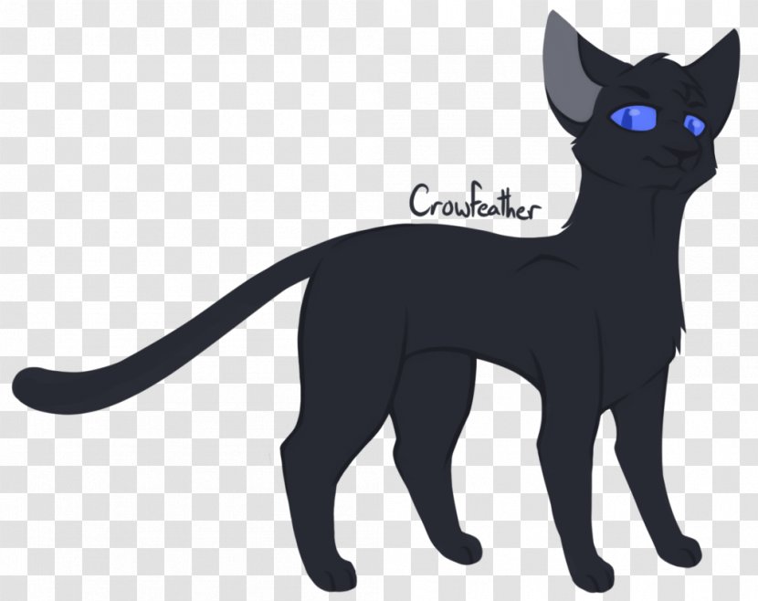 Black Cat Domestic Short-haired Whiskers Warriors - Drawing Feather Transparent PNG
