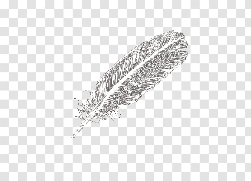 Domestic Goose Feather White Icon - Feathers Transparent PNG