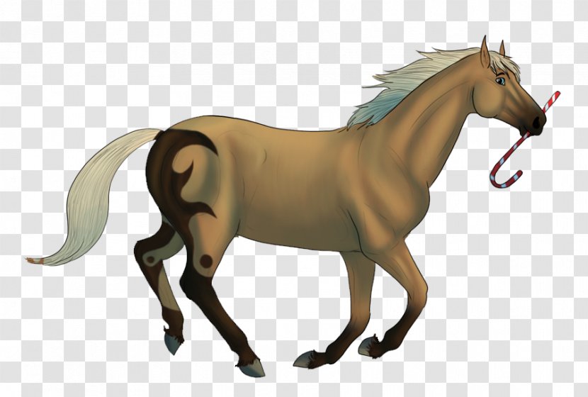 Mane Foal Stallion Mare Mustang - Pack Animal Transparent PNG