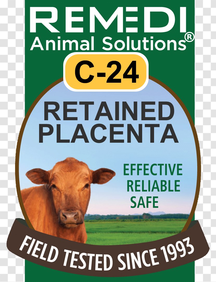 Cattle Homeopathy Preventive Healthcare Safety Remedi Animal Solutions - Beef Transparent PNG