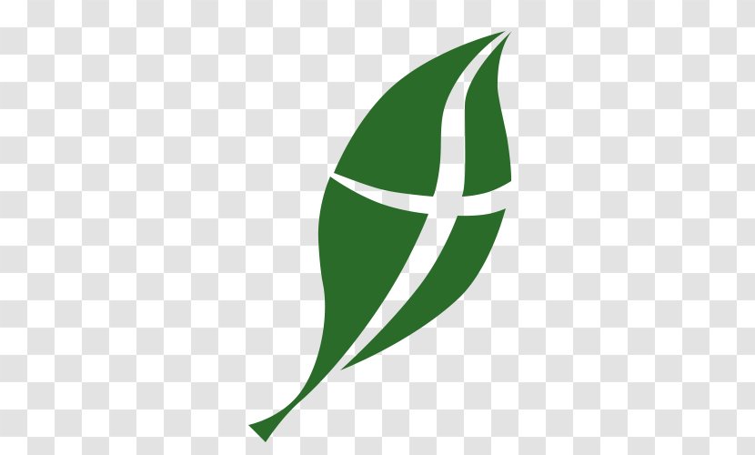 Walnut Creek Presbyterian Church (USA) Logo Corporation Leaf - Green - Forest Hills Transparent PNG