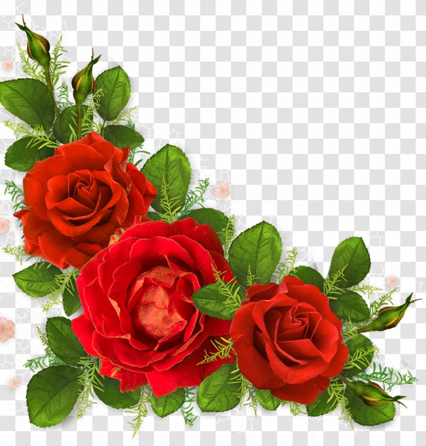 Garden Roses Clip Art Image Flower Transparent PNG