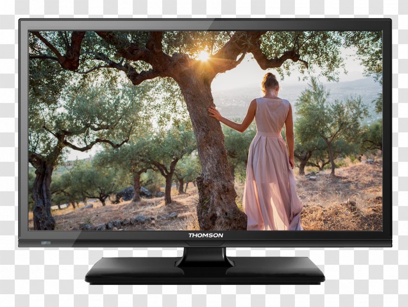 TUI UK Artikel High-definition Television DVB-T2 Digital Signal - Ypbpr - Lcd Transparent PNG