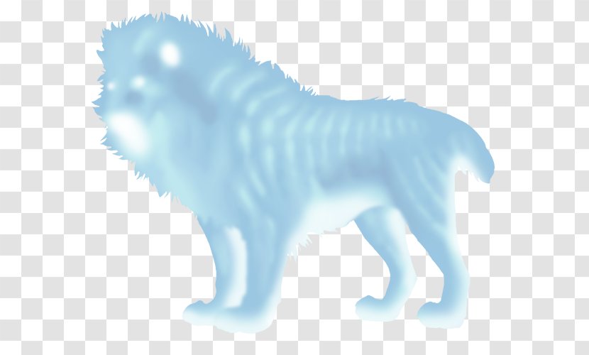 Dog Cat Desktop Wallpaper Snout Computer - Sky Plc Transparent PNG