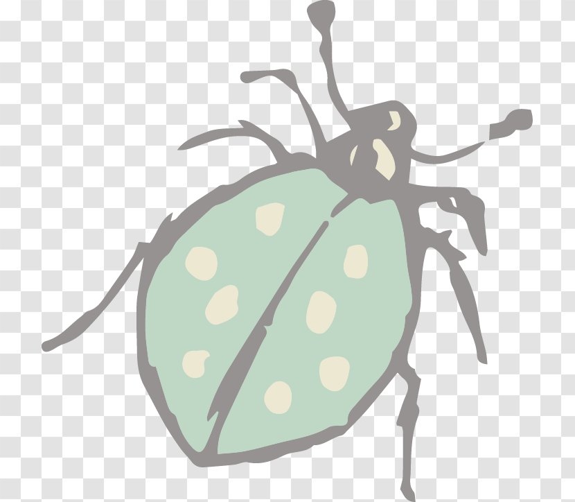 Beetle Ladybird Clip Art - Organism - Ladybug Transparent PNG