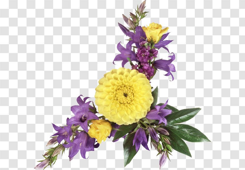 Flower Yellow Purple Clip Art - Chrysanths Transparent PNG
