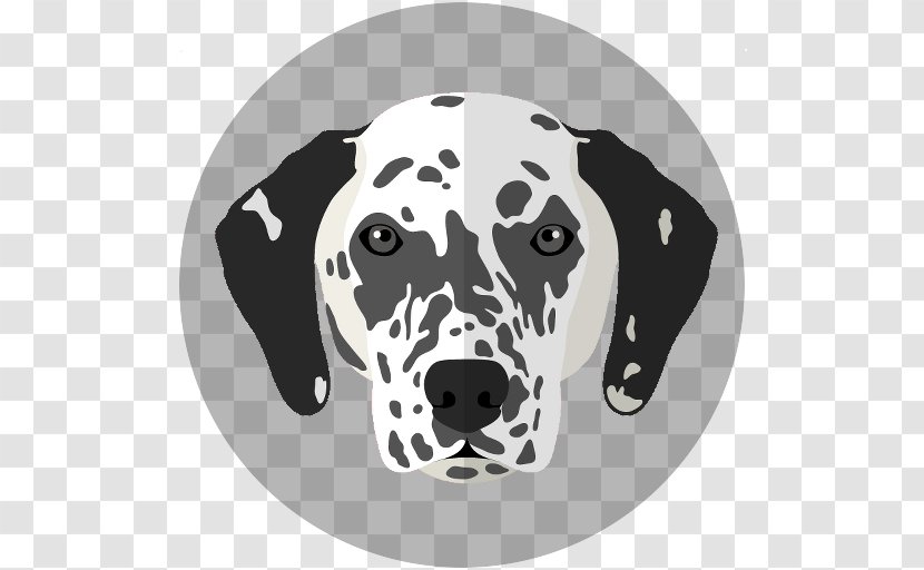 French Bulldog Dachshund Dalmatian Dog Boston Terrier - Black And White - Cat Transparent PNG