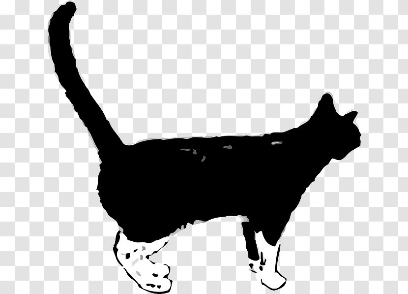 Wildcat Kitten Clip Art Vector Graphics - Black And White - Cat Transparent PNG