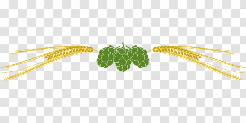 Beer Hops Barley Clip Art Transparent PNG