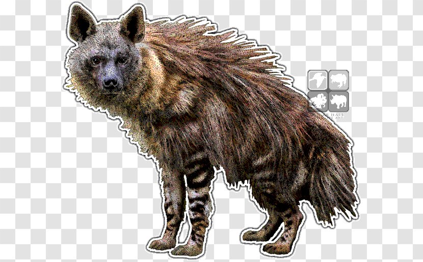 Striped Hyena Art Brown Drawing Transparent PNG