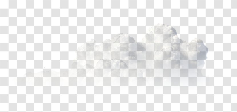 Funeral (feat. Jeezy) Desktop Wallpaper White Computer Download - Silhouette - Flower Transparent PNG