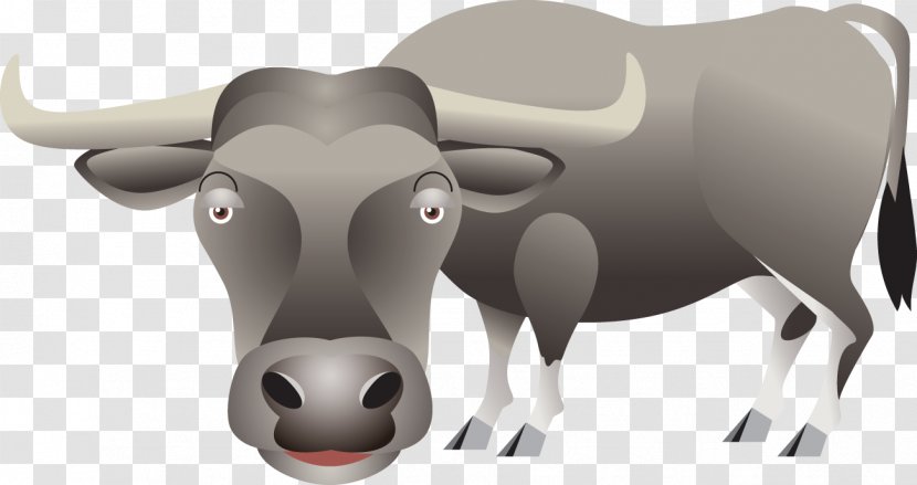Dairy Cattle Clip Art - Head - Bull Transparent PNG