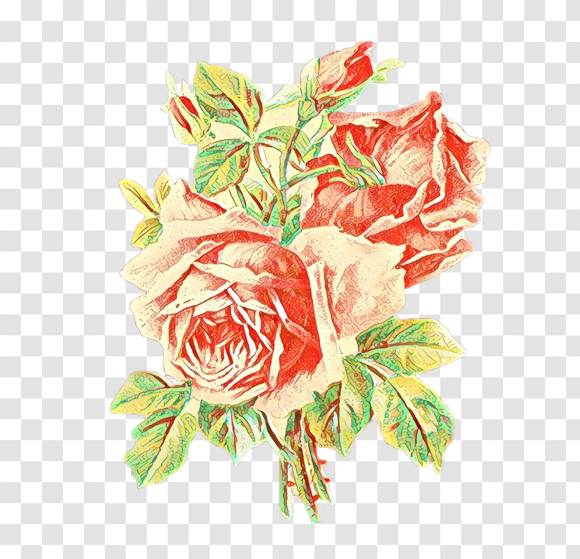 Garden Roses Transparent PNG