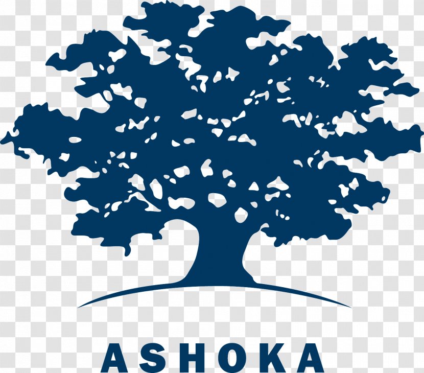 Ashoka: Innovators For The Public Social Entrepreneurship Logo Innovation - Venture Capital - Ashoka Chakra Transparent PNG