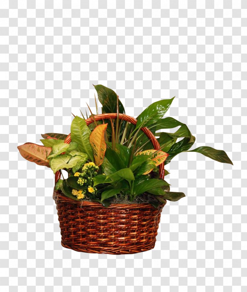 Food Gift Baskets Cut Flowers Floristry Houseplant Leaf - Plant - Exquisite Bamboo Transparent PNG