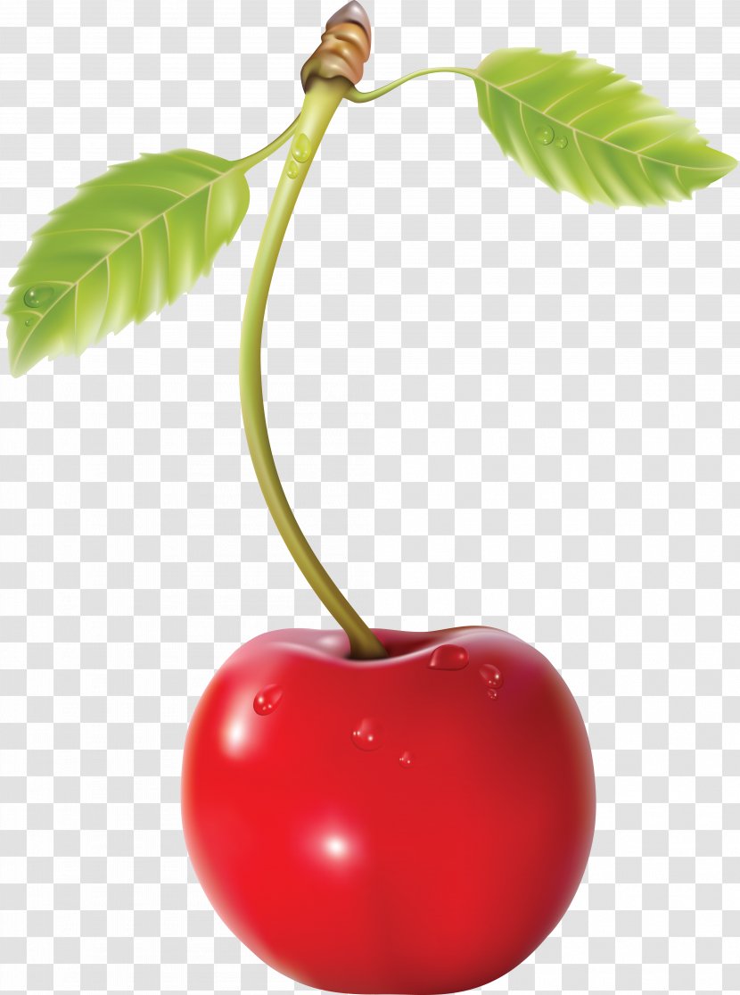 Cherry Pie Blossom Transparent PNG