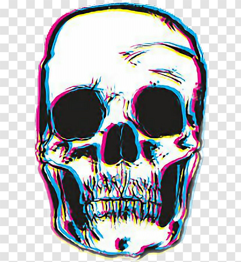 Calavera Skull T-shirt Clothing Clip Art - Headgear Transparent PNG