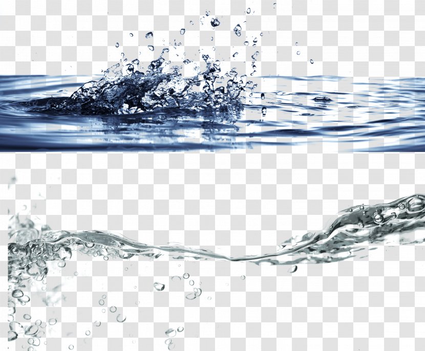 Water - Frank White - Drops Image Transparent PNG