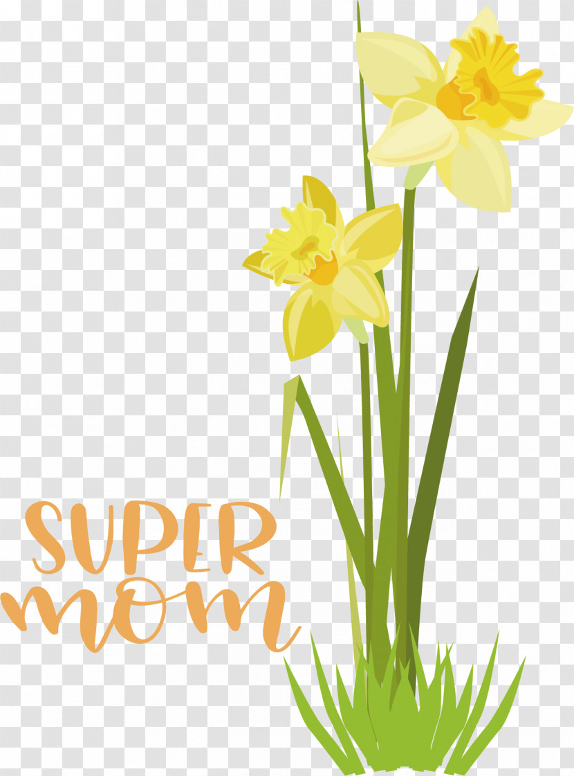 Floral Design Transparent PNG