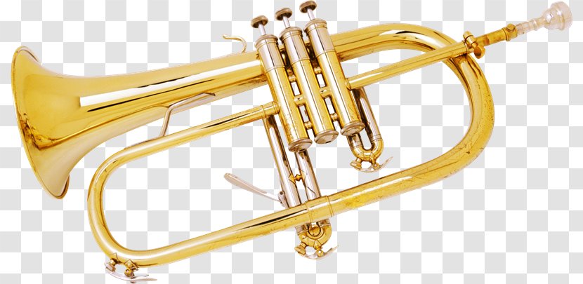 Trumpet Clip Art - Tree Transparent PNG