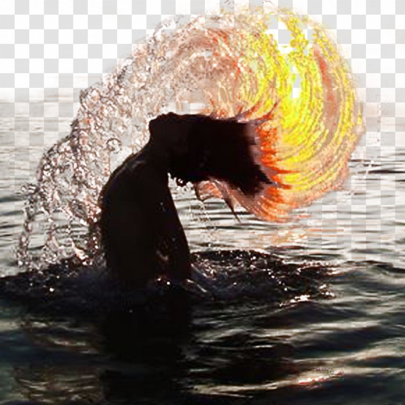 Underwater Photography - Wave - Vector Art Silhouette Swimming Transparent PNG