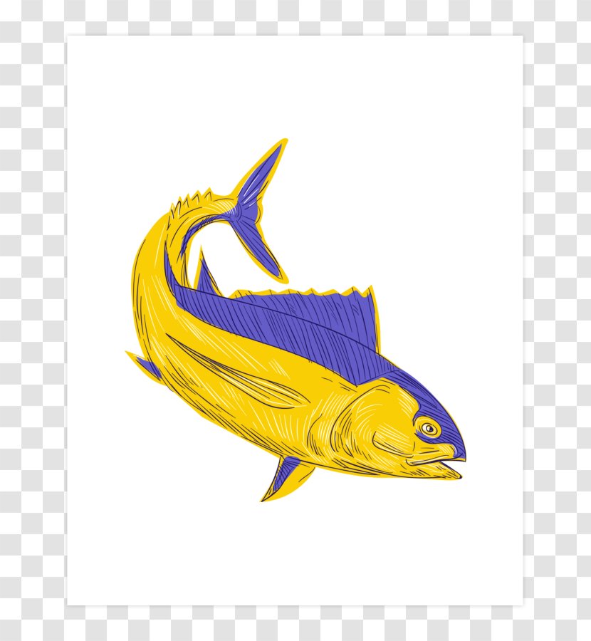 Albacore Yellowfin Tuna Drawing Atlantic Bluefin - Photography Transparent PNG