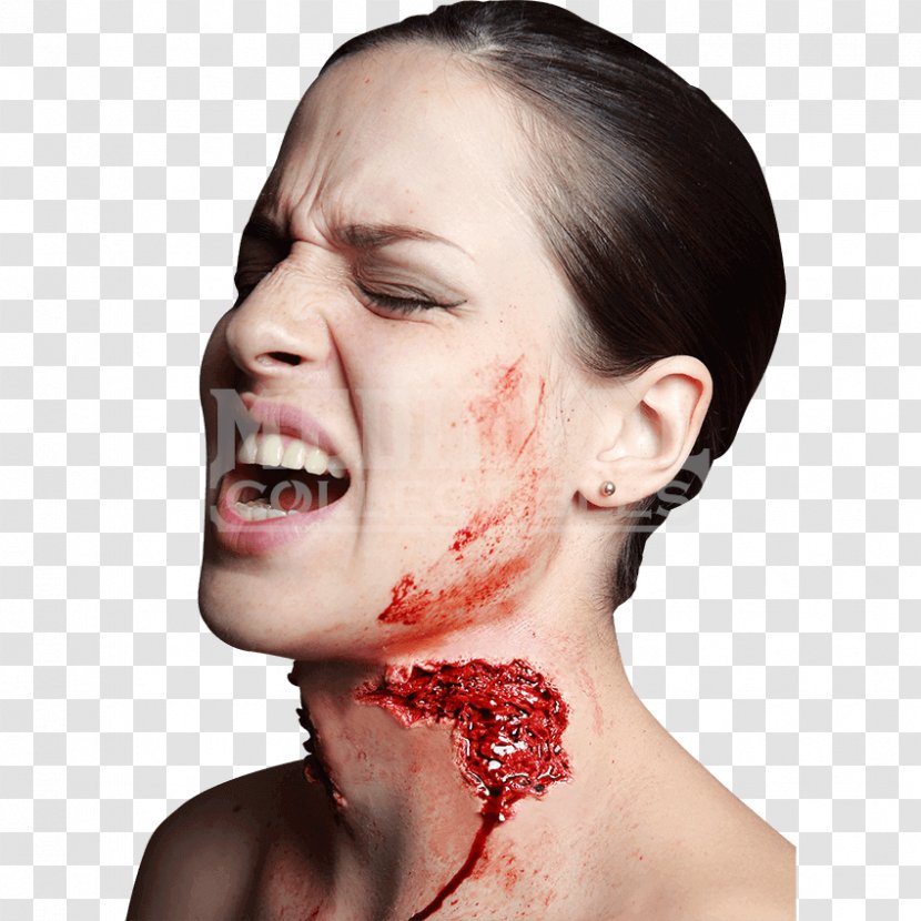 Wound Latex Prosthesis Animal Attacks Bite - Frame Transparent PNG