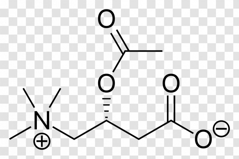 Gamma-Aminobutyric Acid Amino Neurotransmitter Chemical Compound - Number - Half Life Transparent PNG