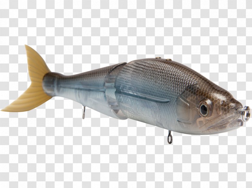Swimbait Fishing Baits & Lures Milkfish - Fish Transparent PNG