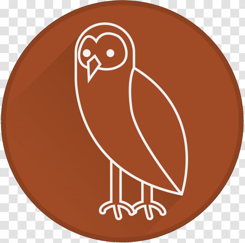Owl Clip Art Illustration Logo Beak - Rug Transparent PNG