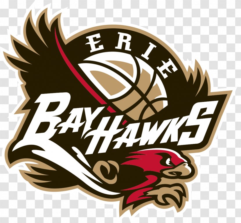 Erie Insurance Arena BayHawks NBA Development League Orlando Magic Atlanta Hawks - Team - Cleveland Cavaliers Transparent PNG