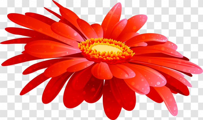 Flower Floral Design Clip Art Image - Orange Transparent PNG