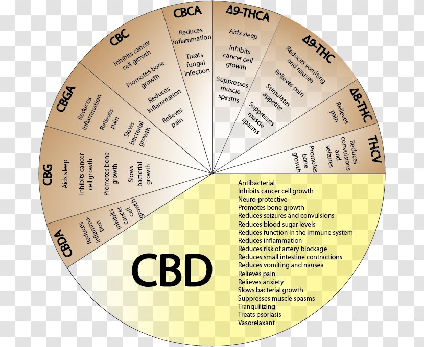 Cannabidiol Effects Of Cannabis Cannabinoid Medicine Transparent PNG