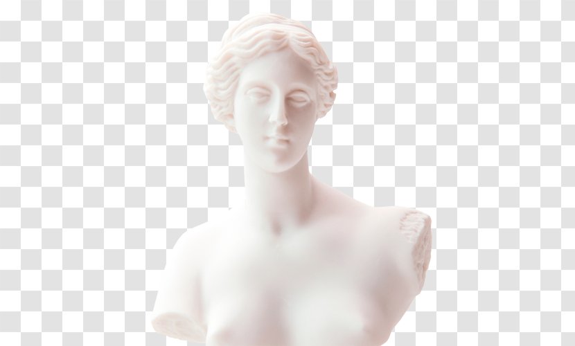 Phaedrus Classical Sculpture Penguin Chin - Cartoon Transparent PNG