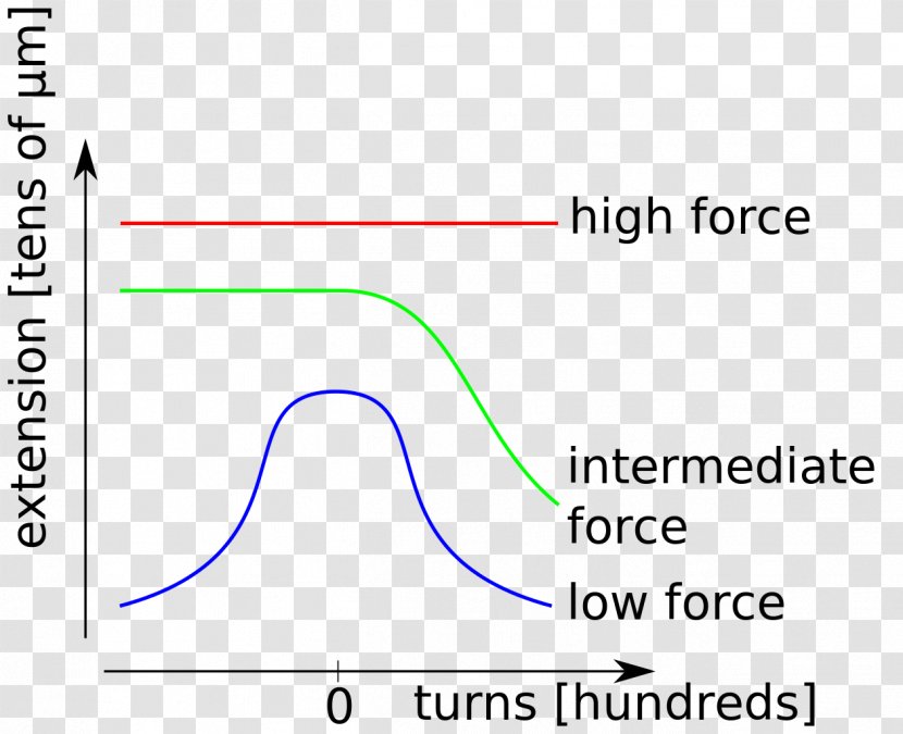 Line Angle Document Organism Microsoft Azure - Fluctuation Curve Transparent PNG