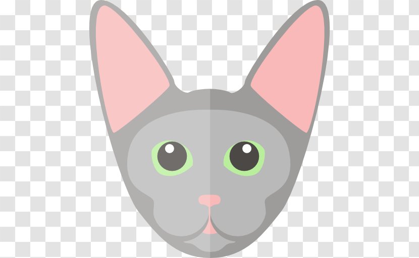 Whiskers Kitten Sphynx Cat Japanese Bobtail Chartreux Transparent PNG