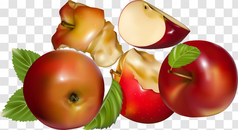 Berry Fruit - Photorealism - Apple Transparent PNG