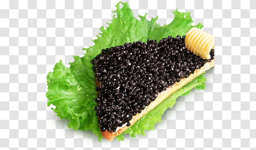 Beluga Caviar Butterbrot Pancake Starry Sturgeon - Black Transparent PNG