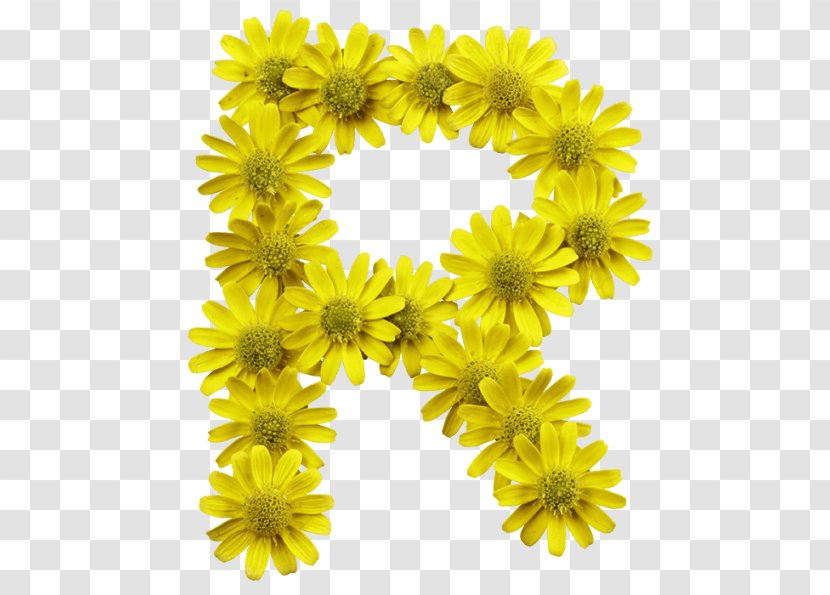 Flower Letter Typeface Typography Font - Yellow - Flowers Transparent PNG
