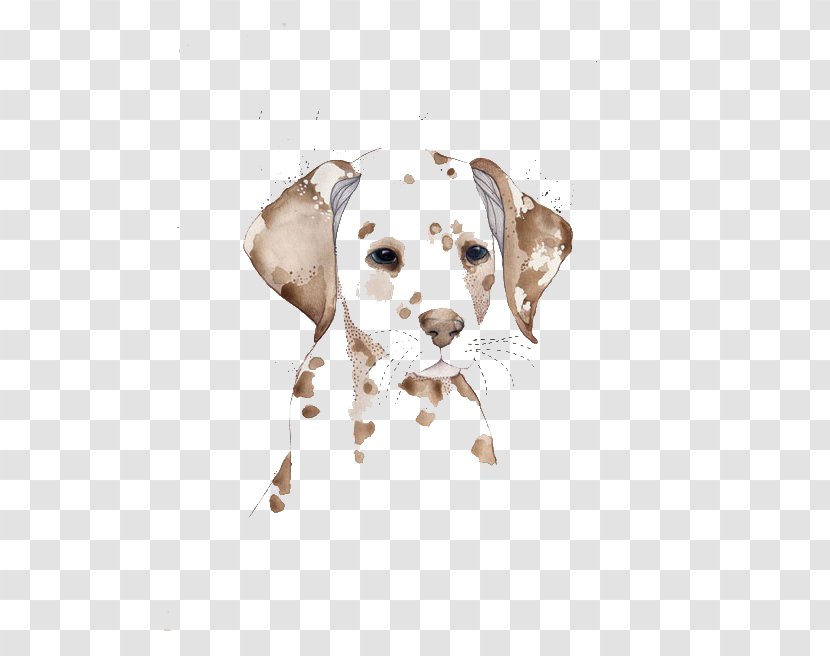 Dalmatian Dog Watercolor Painting Drawing Illustration - Ink - Spotted Transparent PNG